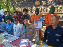 1 Tersangka Penyelundupan 18 Penyu Ternyata DPO Polda Bali