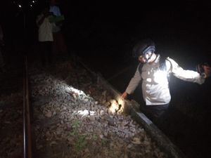 Pria di Jember Terkapar Kritis, Korban Diduga Tertabrak KA