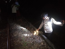 Pria di Jember Terkapar Kritis, Korban Diduga Tertabrak KA