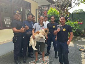 Anjing Kejar Kucing Berakhir Nyemplung Sumur, Petugas Damkar Turun Tangan Anjing Kejar Kucing Berakhir Nyemplung Sumur, Petugas Damkar Turun Tangan
