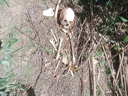 Penemuan Tengkorak Manusia di Sungai Wae Mensel, Terinjak Saat Cari Katak