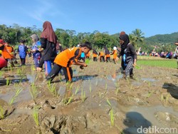Jurus Ciamis Mencetak Petani Sejak Dini