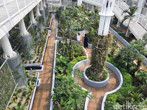 Jangan Kemakan Hoaks, Ini Biaya Masuk Kebun Raya Bogor!