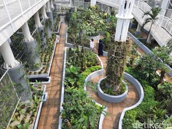 Jangan Kemakan Hoaks, Ini Biaya Masuk Kebun Raya Bogor!