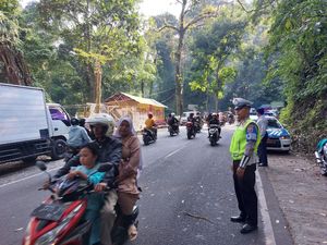 Butuh 4 Jam Evakuasi Truk yang Jatuh ke Jurang di Jalur Gumitir Jember Butuh 4 Jam Evakuasi Truk yang Jatuh ke Jurang di Jalur Gumitir Jember