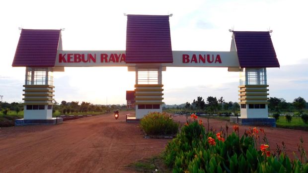 Kebun Raya Banua, Kalimantan Selatan