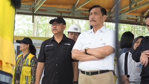 Dapat Tugas dari Jokowi, Ini Momen Luhut Cek Progres Proyek IKN