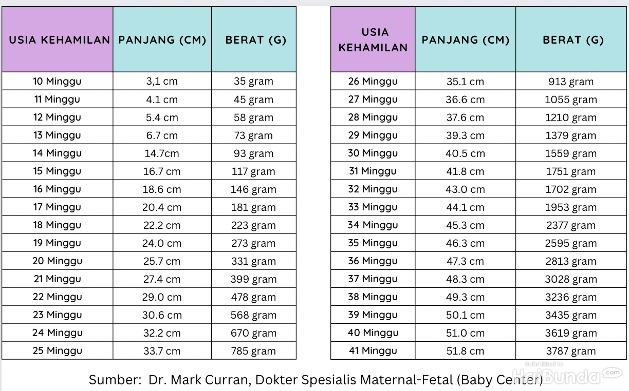 Cek Ukuran Janin Dari Tabel Usia Kehamilan