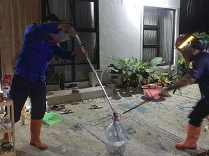 Ular Kobra Jawa Mau Masuk ke Rumah di Pundong Bantul, Damkar Turun Tangan