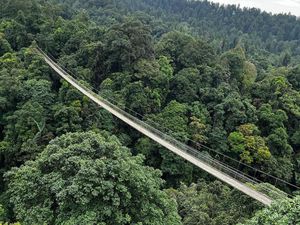 Ragam Wisata di Lembah Purba, Ada Jembatan Terpanjang se-Asia Tenggara! Ragam Wisata di Lembah Purba, Ada Jembatan Terpanjang se-Asia Tenggara!