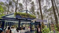Ngeteh Cantik di Kafe Tengah Hutan Pinus Cikole Bandung
