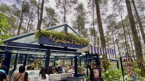 Ngeteh Cantik di Kafe Tengah Hutan Pinus Cikole Bandung