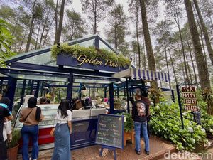 Ngeteh Cantik di Kafe Tengah Hutan Pinus Cikole Bandung Ngeteh Cantik di Kafe Tengah Hutan Pinus Cikole Bandung