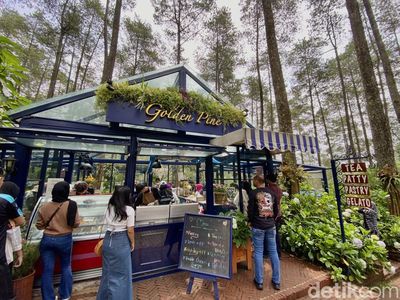 Ngeteh Cantik di Kafe Tengah Hutan Pinus Cikole Bandung