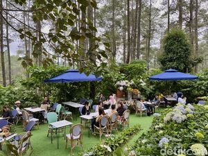 5 Kafe Estetik di Bandung Berkonsep Taman Bunga yang Cantik 5 Kafe Estetik di Bandung Berkonsep Taman Bunga yang Cantik