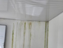 Penjelasan Kontraktor soal Mess Dinkes Sumut Bocor Usai Direnovasi