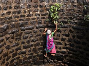 Luar Biasa! Wanita di India Turun-Naik Sumur Demi Air Bersih