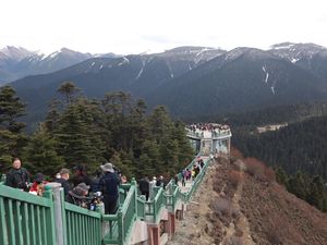 Mengunjungi Dataran Tinggi Himalaya di Tibet