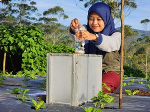 Jurus Kementan Antisipasi Perubahan Iklim Ekstrem