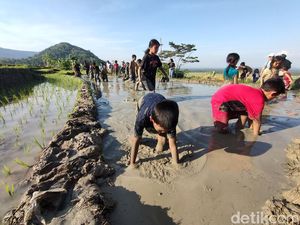 Ada Wisata Gogoh Iwak di Jogja, Mau Coba? Ada Wisata Gogoh Iwak di Jogja, Mau Coba?