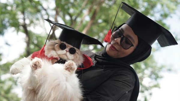 Gaya Kucing Saat Ikut Kontes Kostum di Kendari