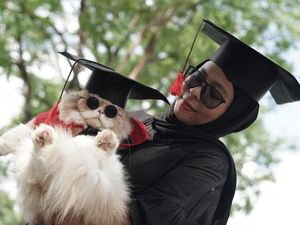 Gaya Kucing Saat Ikut Kontes Kostum di Kendari