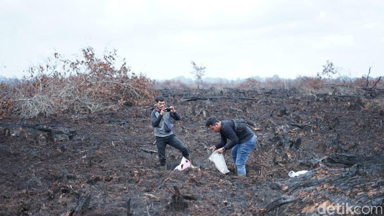 Karhutla di Riau, 7 Pembakar Lahan di Inhil-Dumai Ditangkap