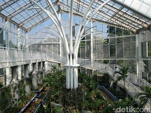Koleksi Anggrek di Kebun Raya Bogor, Dirintis sejak Zaman Hindia Belanda Koleksi Anggrek di Kebun Raya Bogor, Dirintis sejak Zaman Hindia Belanda