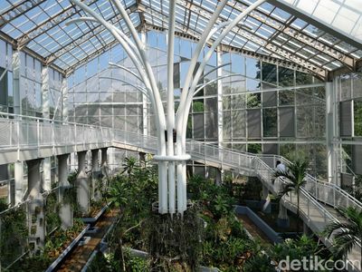 Koleksi Anggrek di Kebun Raya Bogor, Dirintis sejak Zaman Hindia Belanda