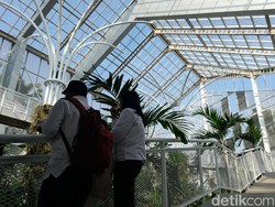 Pengertian Efek Rumah Kaca, Proses Terjadi hingga Penyebabnya