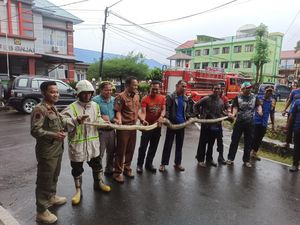 Ular Piton 5 Meter Muncul di Lapak PKL Sinjai, Damkar Evakuasi Ular Piton 5 Meter Muncul di Lapak PKL Sinjai, Damkar Evakuasi
