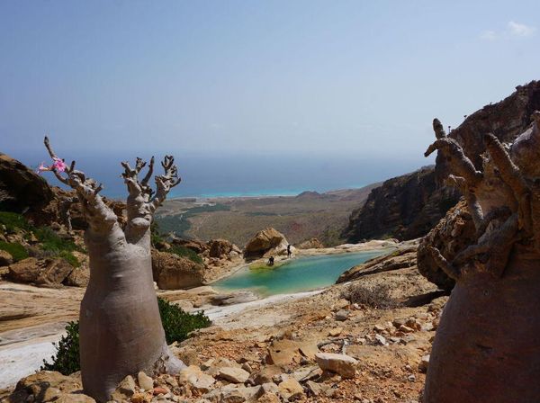 Disebut Tempat Dajjal Sembunyi, Begini Penampakan Pulau Socotra