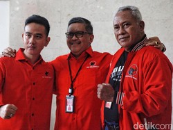 Hasto Yakin Gibran Tetap Setia Dukung PDIP dan Ganjar