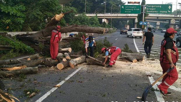 Imbas Pohon Tumbang di Tol Japek, Lalin Padat