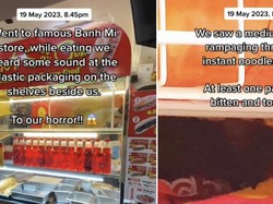 Jijik! Tikus Besar Ini Berkeliaran di Rak Mie Instan Gerai Banh Mi