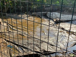 Duh! Ada Kolam Lele di Kolong Rel Kereta Cepat Jakarta Bandung