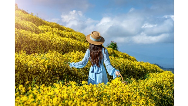 Mengenal cara hidup bahagia ala orang-orang di berbagai negara/freepik/tawatchai07 Ilustrasi seorang perempuan tengah berada di alam.