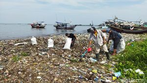 Pandawara dan Warga Bersihkan Pantai di Banten, Sampah Capai Ribuan Karung