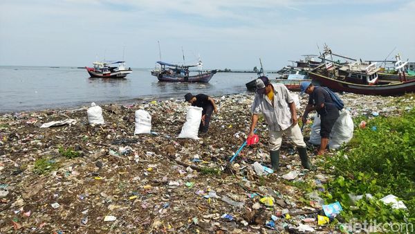 Pandawara dan Warga Bersihkan Pantai di Banten, Sampah Capai Ribuan Karung