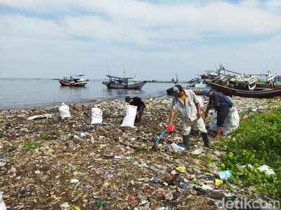 Pandawara dan Warga Bersihkan Pantai di Banten, Sampah Capai Ribuan Karung