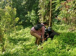 Rem Blong di Jalan Turunan, Pemotor Masuk Jurang