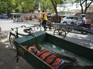 Begini Horornya India Dihantam Gelombang Panas, Hampir 100 Orang Tewas