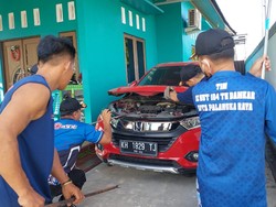 Detik-detik Ular King Kobra Kalimantan Nyaris Patuk Warga Sedang Ngopi