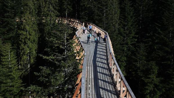 Polandia Punya Skywalk Sepanjang 1.300 Meter di Tengah Pegunungan
