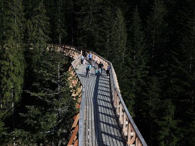 Polandia Punya Skywalk Sepanjang 1.300 Meter di Tengah Pegunungan