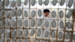 Mengintip Panen Ulat Sutera di China