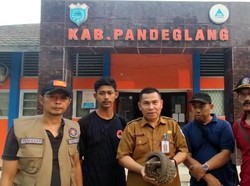 BPBD Evakuasi Trenggiling di Bawah Tanah Laboratorium SMKN 15 Pandeglang
