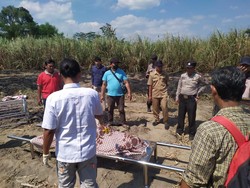 Lansia Kediri Tewas Terbakar Saat Bakar Bekas Tanaman Tebu di Sawahnya