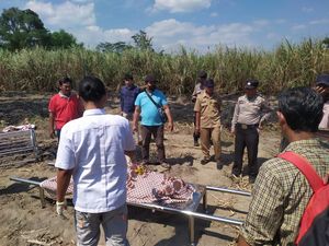 Lansia Kediri Tewas Terbakar Saat Bakar Bekas Tanaman Tebu di Sawahnya Lansia Kediri Tewas Terbakar Saat Bakar Bekas Tanaman Tebu di Sawahnya