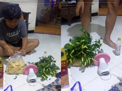 Ngakak! Pria Ini Makan Gorengan pakai Cabe Ijo Satu Pohon Penuh